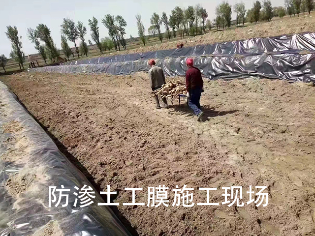 園林綠化建設可選擇防滲土工膜鋪設 園林綠化建設可選擇防滲土工膜鋪設